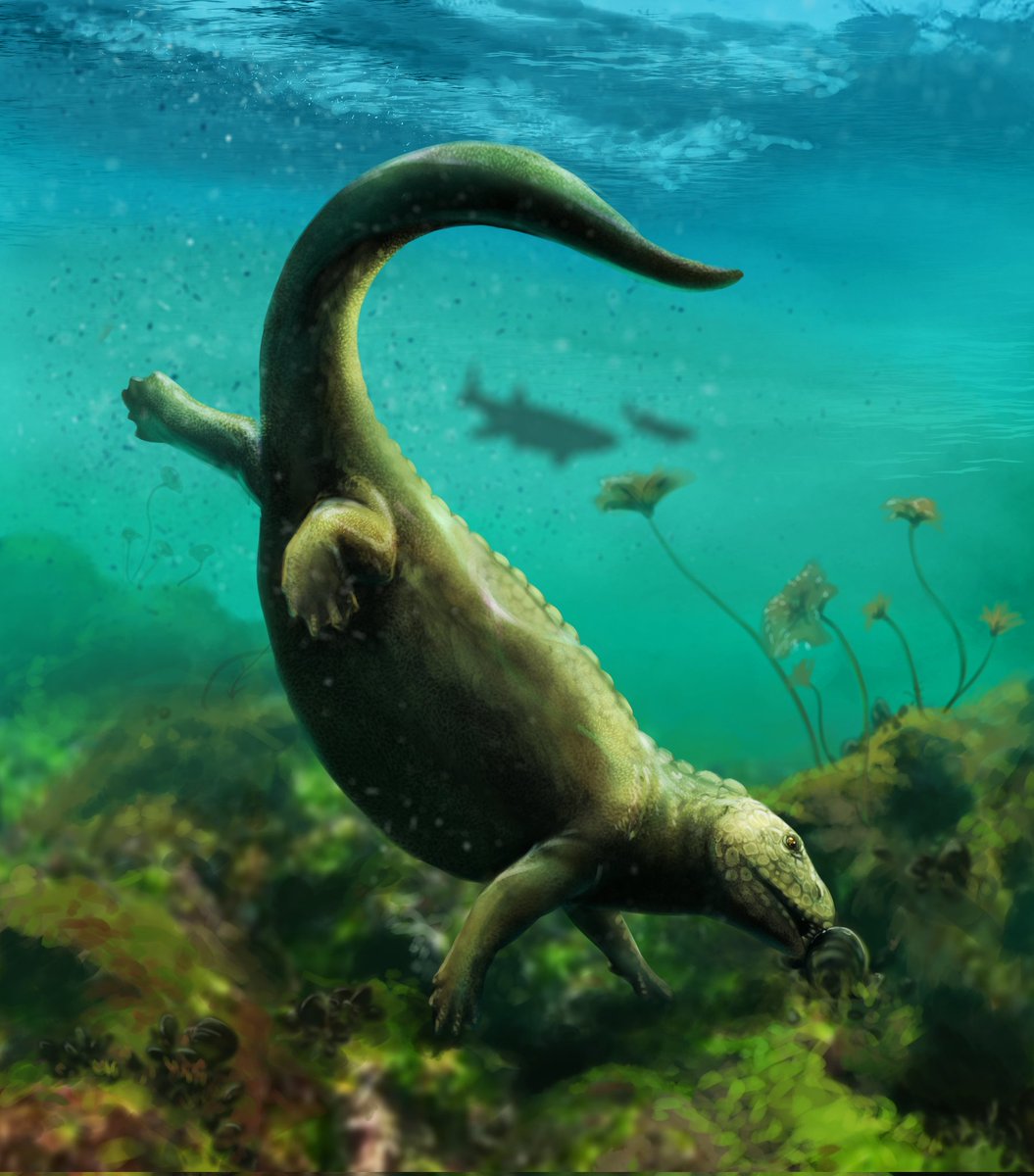 Ekhyl - Wildlife/Paleo Illustration tweet media