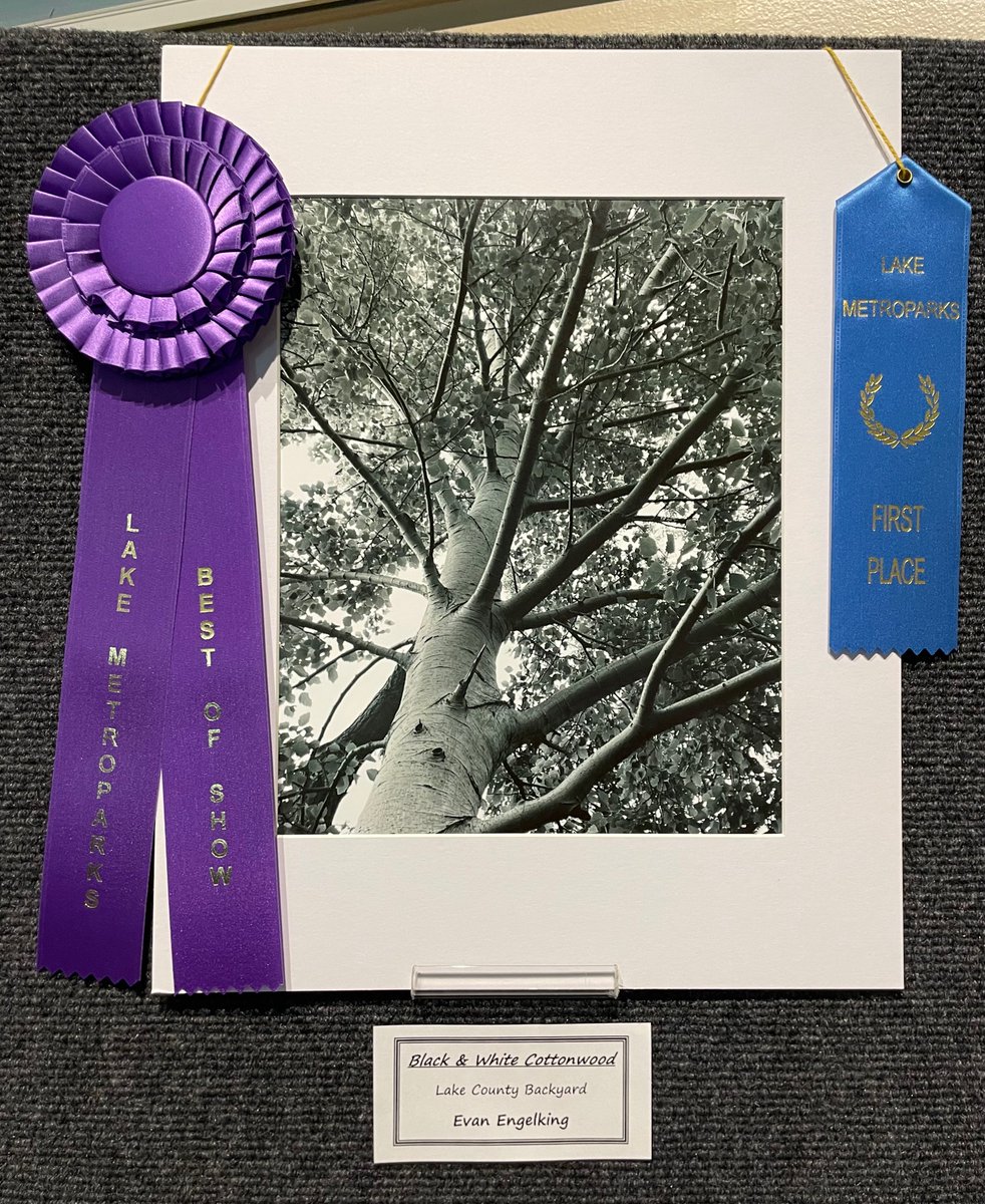 🏅Evan Engelking, a student at Eastlake Middle School, won first place and best of show in the junior category of Lake Metroparks’ Annual Amateur Photo Contest!  WE love recognizing the talent of our students! 👏 #mychoicewilloughbyeastlake #WEareonthemove