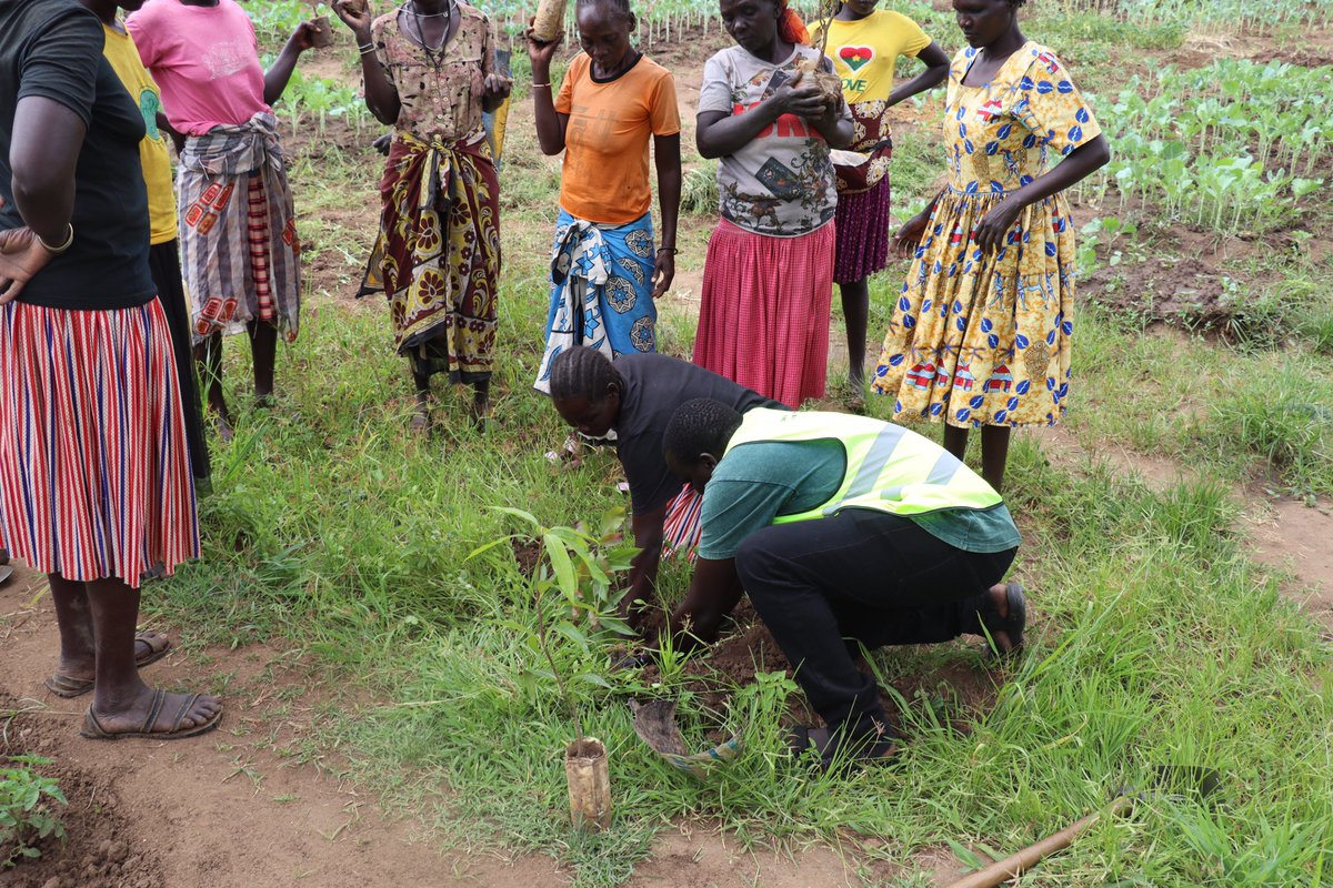 Today, we joined hands with the Cheyoyow Women Group to plant fruit trees in their farm — real action to restore land &amp; secure livelihoods.

Empowered women equal restored ecosystems.
<a href="/Irish_Aid/">Irish Aid</a> 
<a href="/IrlEmbKenya/">Embassy of Ireland</a> 
#RestoreTheLand #GreenTheFuture #CheyoyowWomen #Desertification2025