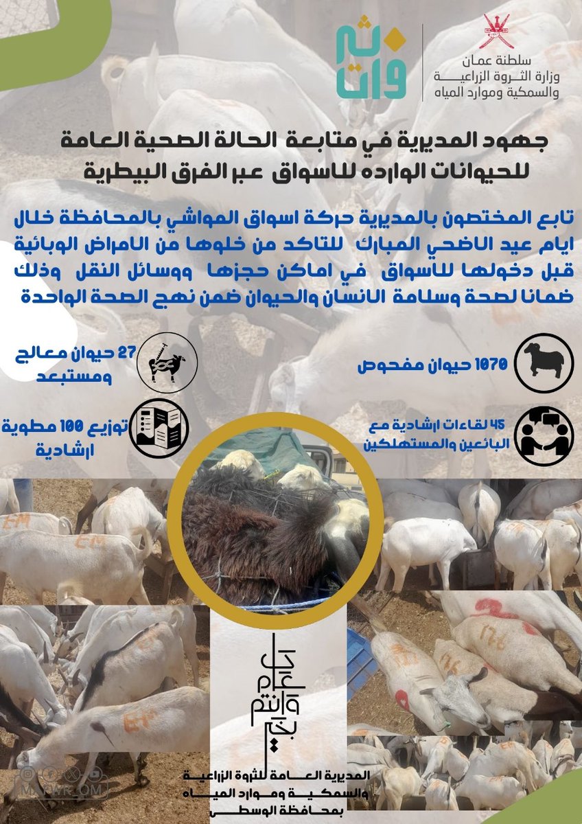 الثروة الزراعية والسمكية وموارد المياه بالوسطى (@agr_fish_alwast) on Twitter photo 