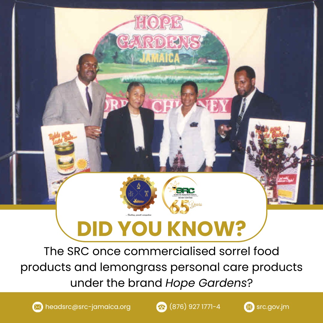 #DidYouKnow that the SRC once commercialised sorrel food products and lemongrass personal care products under the brand 'Hope Gardens'.