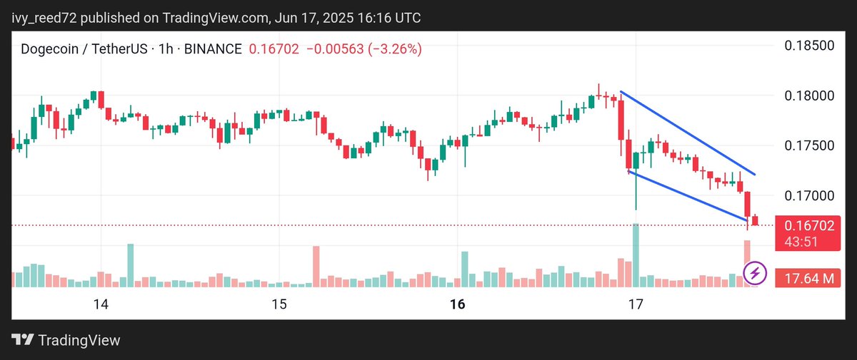 $658M in $DOGE just exited exchanges 👀
A bullish falling wedge is forming — price could rally +52% to $0.26!

🔹 From a 7-day dip to a possible breakout
 
🔹 Positive funding rate, rising self-custody trend
Is Dogecoin gearing up for liftoff?