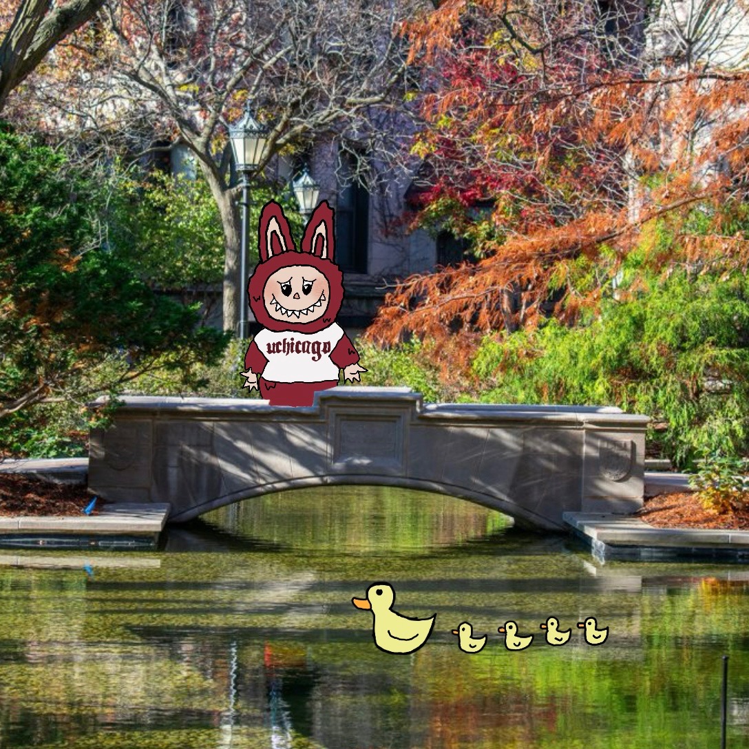 UChicago Admissions tweet media