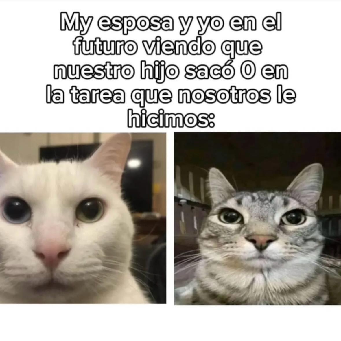 AngelycaB's tweet photo. Ya me imagino el futuro así #meme #memes https://t.co/3PN3Z8Trff