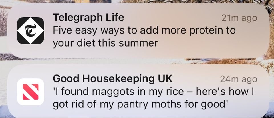 Aranhe's tweet photo. The juxtaposition of these notifications amused me. https://t.co/9sE2XgT7RS