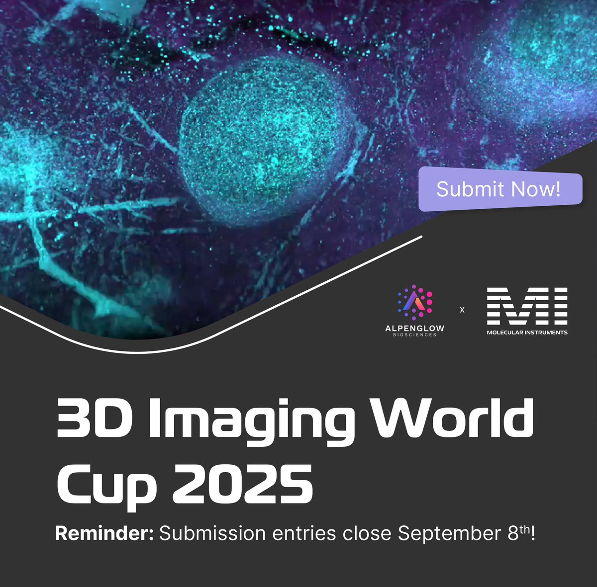 HCRimaging's tweet image. It’s your time to shine! The 3D Imaging World Cup 2025 is in full swing—we’ve gotten so many amazing Light-Sheet image submissions and are excited to see the rest roll in.
Enter your submission here: alpenglowbiosciences.com/3d-imaging-wor…