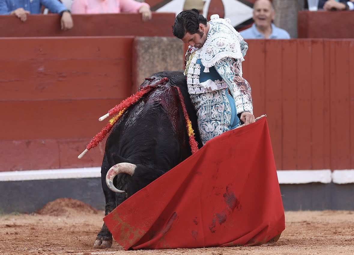 Tercio de Quites tweet media