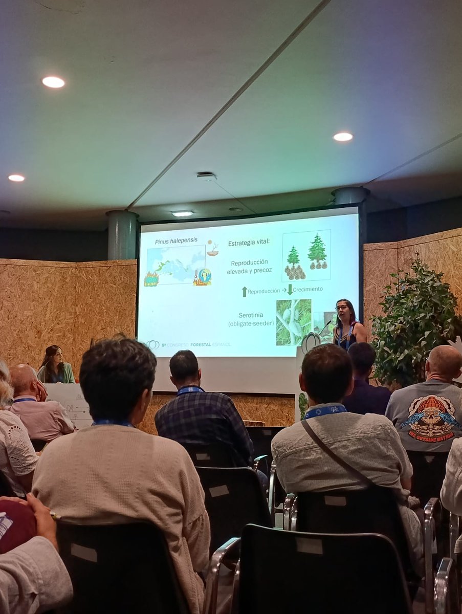 Ruth Martín tweet media