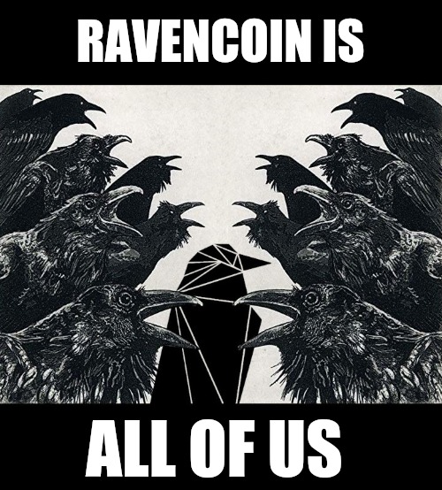 Pathfinder 🟠 💊 (@pathfinder) on Twitter photo 