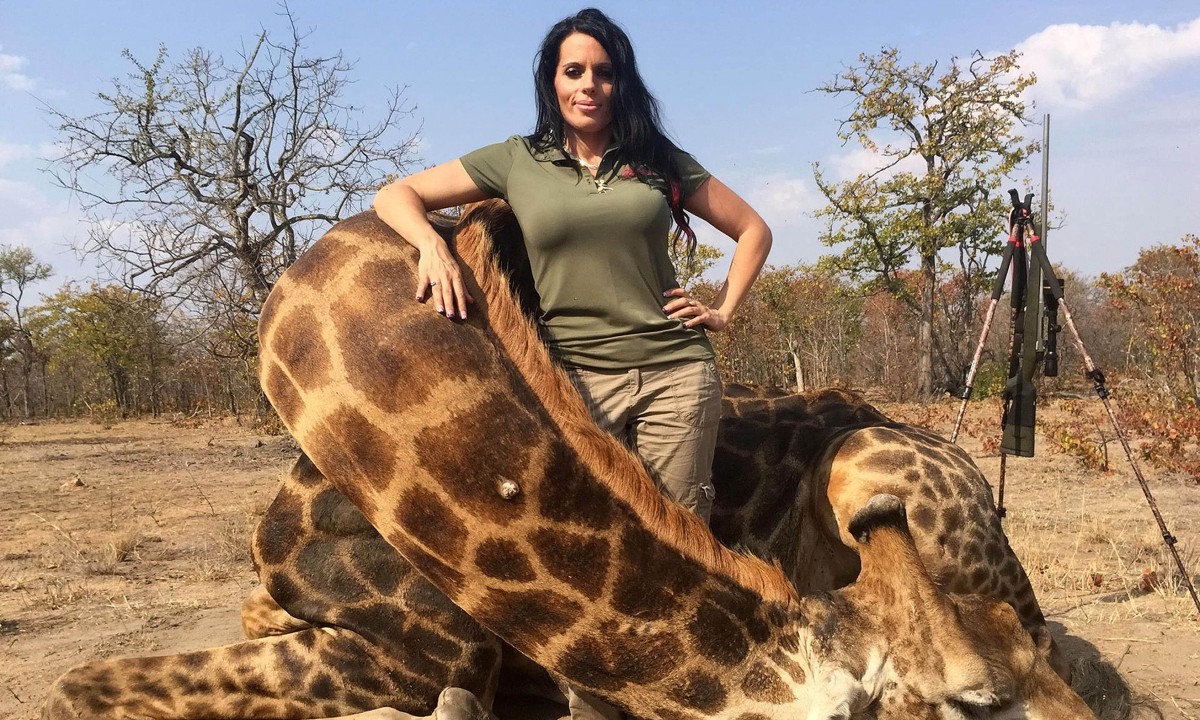 Protect_Wldlife's tweet photo. Is it my imagination or are Giraffes targeted more by female trophy hunters?

What I have noticed is that they go way over the top with their sociopathic poses  with their kill.

Either way, they continue to put the CON in conservation!

RT if you want a GLOBAL ban on #TrophyHunting NOW! 🚫