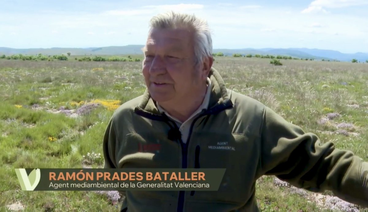 codeposa's tweet image. Recentment un càmera de Comunicacions dels Ports ha pujat al cim de la Mola d’Ares per a enregistrar les imatges d’aquest espectacular reportatge de La Via Verda d’À Punt
🎥🚁
#AresdelMaestrat #ElsPorts #Castelló #ComunitatValenciana
▸ apuntmedia.es/programes/la-v…