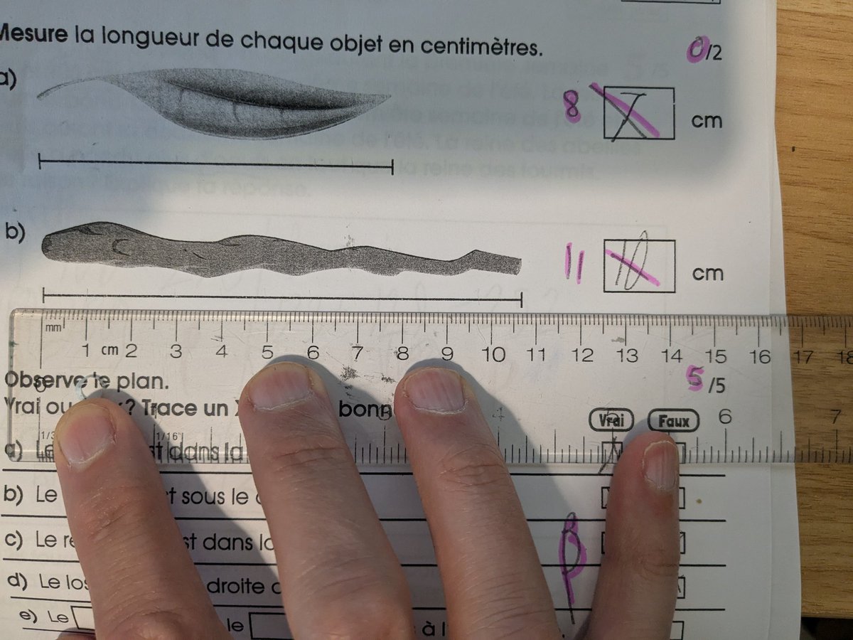 Mon enfant de 2e année a eu zéro à un exercice où il devait mesurer quelque chose. Ça mesure 10.675 cm environ. Mon enfant a dit 10 cm. C'est moi où il y a matière à contestation ? Je veux l'avis d'un ingénieur <a href="/GrandFendant/">Jean-Francois Desmeules</a>
