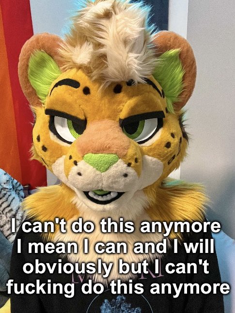 ✨June✨🔜FWA (@parduspaws) on Twitter photo 