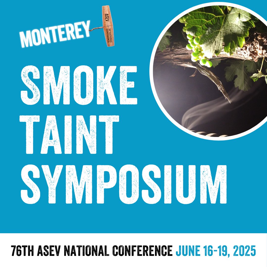 Today's the day for the much-anticipated Smoke Taint Symposium! Leading researchers are presenting cutting-edge strategies to assess and manage wildfire smoke exposure in vineyards. Don't miss these latest insights!
