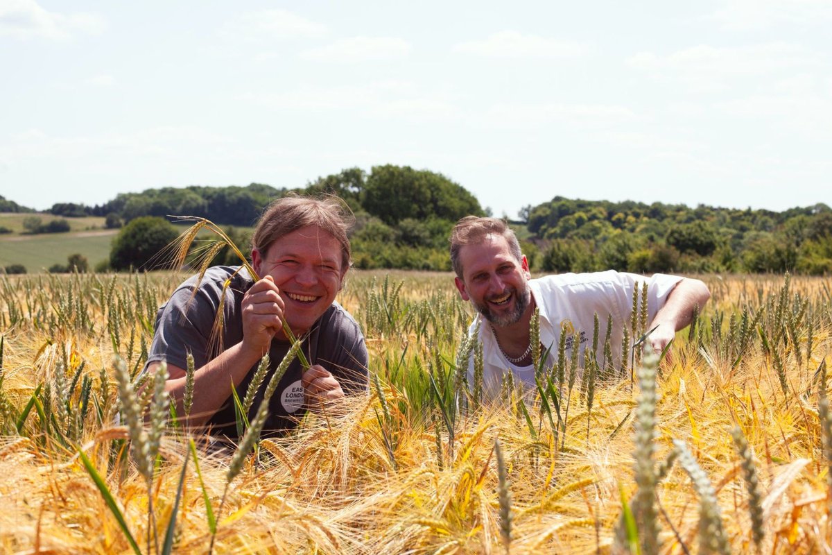 French & Jupps (@frenchandjupps) on Twitter photo A special #Porter #Collaboration is #Brewing! 🍻 We're teaming up with <a href="/EastLondonBrew/">East London Brewing Co</a> to celebrate our 225-year #History of supplying #LondonBrewers via the #Canals. We'll be harvesting our Dane End #Barley soon for this end of summer brew! ✨
#EastLondonBrewingCo #HarvestSeason A special #Porter #Collaboration is #Brewing! 🍻 We're teaming up with <a href="/EastLondonBrew/">East London Brewing Co</a> to celebrate our 225-year #History of supplying #LondonBrewers via the #Canals. We'll be harvesting our Dane End #Barley soon for this end of summer brew! ✨
#EastLondonBrewingCo #HarvestSeason