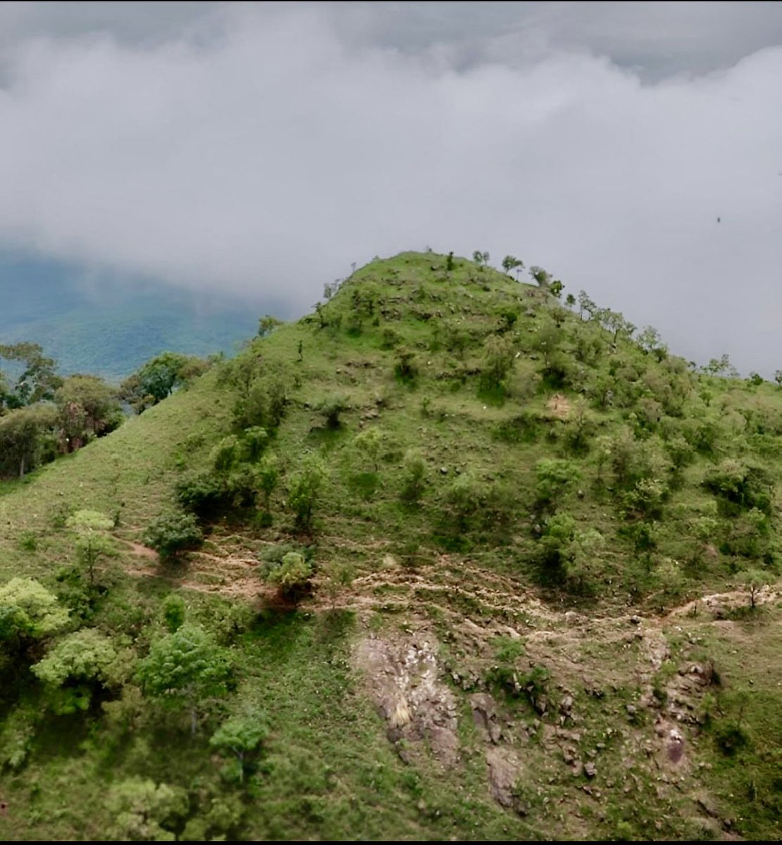 ANI &amp; <a href="/NigeriaParks/">National Park Service-Nigeria</a> are working on UNESCO World Heritage Site listing for Gashaka Gumti NP as a mixed site presenting its biodiversity assets &amp; cultural heritage assets. 
<a href="/mowaaofficial/">The Museum of West African Art (MOWAA)</a> conducted a cultural heritage survey that will inform  the UNESCO nomination dossier