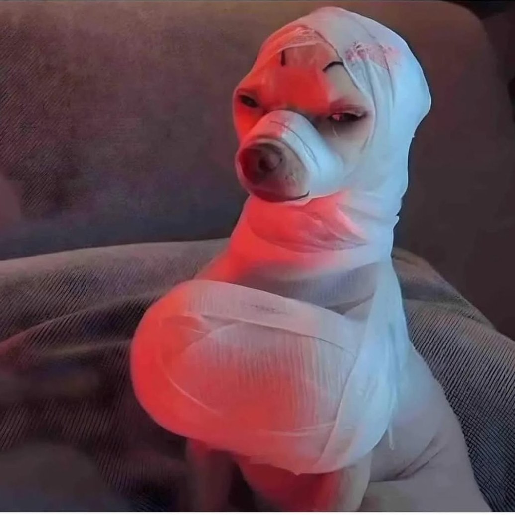 Indians are behind every conspiracy against Whites and Islamists.

We were also behind her botched plastic surgery.