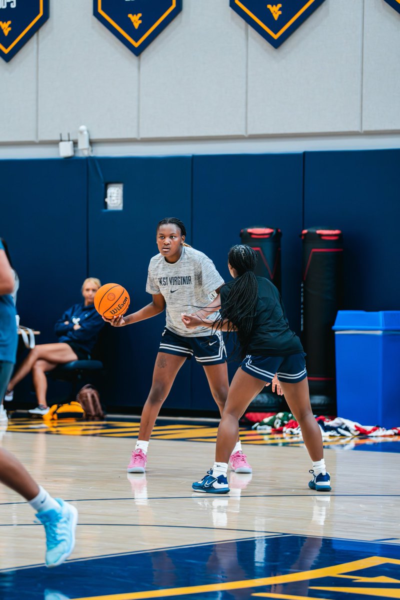 WVUWBB's tweet image. New in the Gold &amp;amp; Blue: Madie Parrish

#HailWV