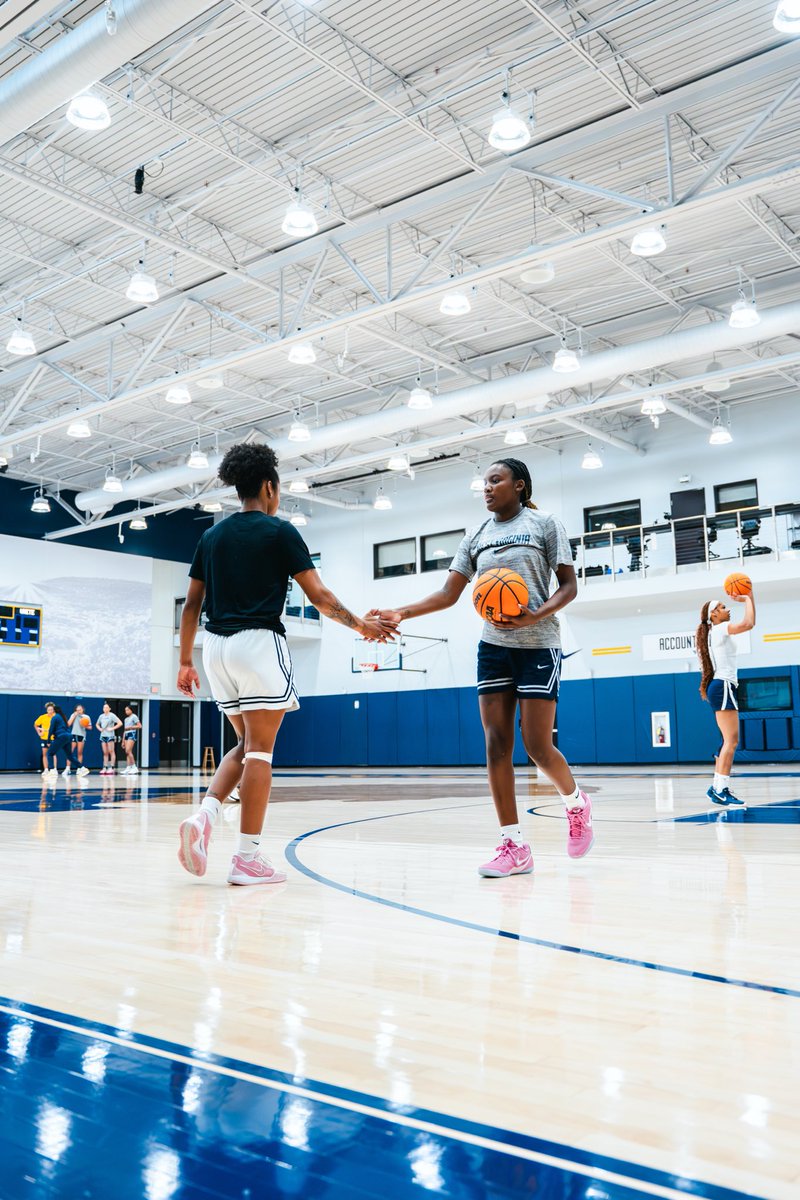 WVUWBB's tweet image. New in the Gold &amp;amp; Blue: Madie Parrish

#HailWV