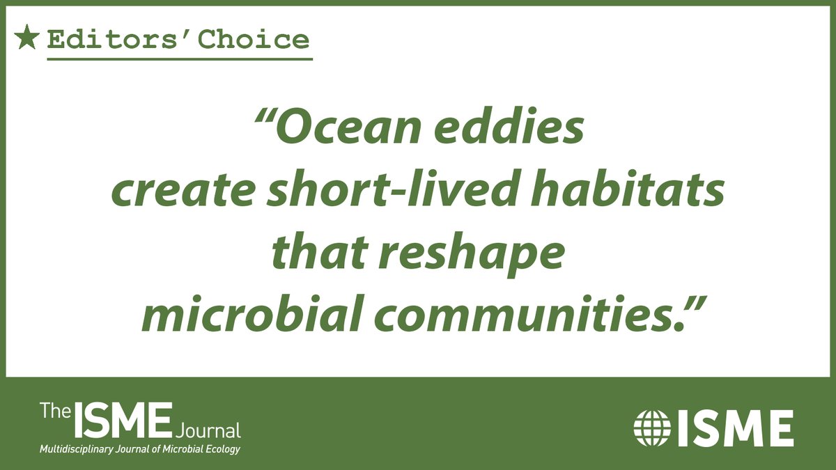 ISME_microbes's tweet image. Uri Sheyn et al. reveal that swirling ocean currents (eddies) create short-lived pockets that favor certain Prochlorococcus strains, showing how “ocean weather” shapes microbial diversity.
🔗isme-microbes.org/ocean-eddies-r…
#Microbes #Prochlorococcus #mesoscaleeddies #nutrientcycling