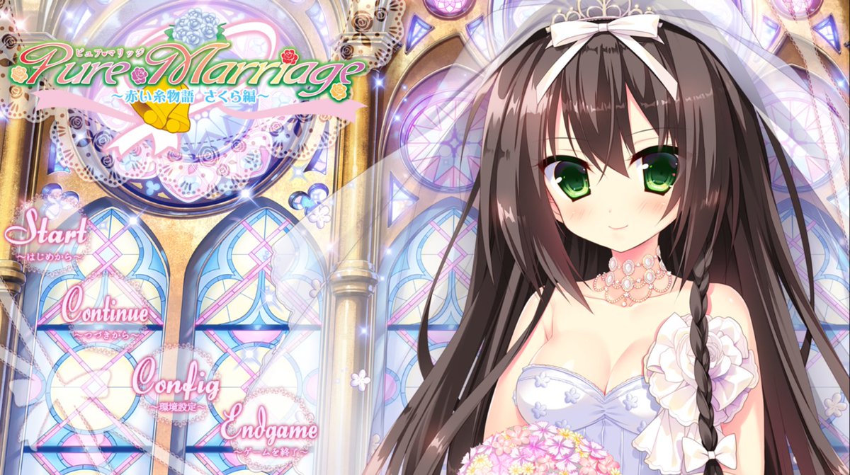 ロープライスで手に入りやすかったので、やります。妹…。