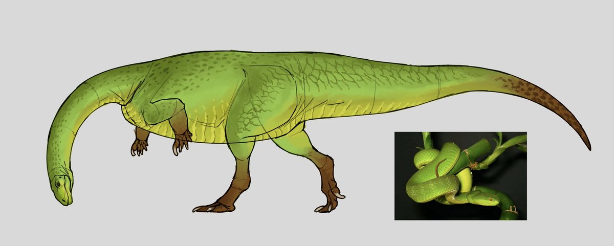 Lufengosaurus.