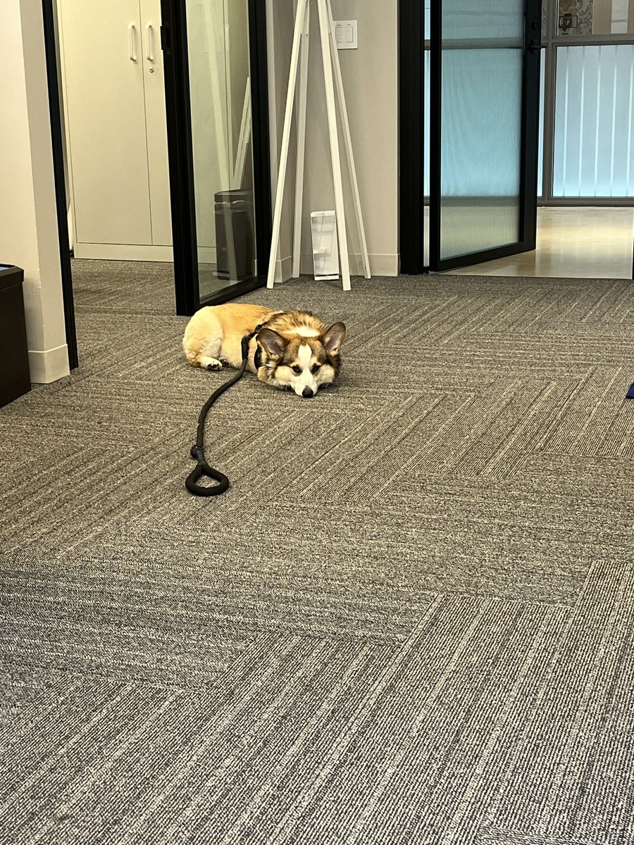 Waiting for GENIUS to pass the Senate