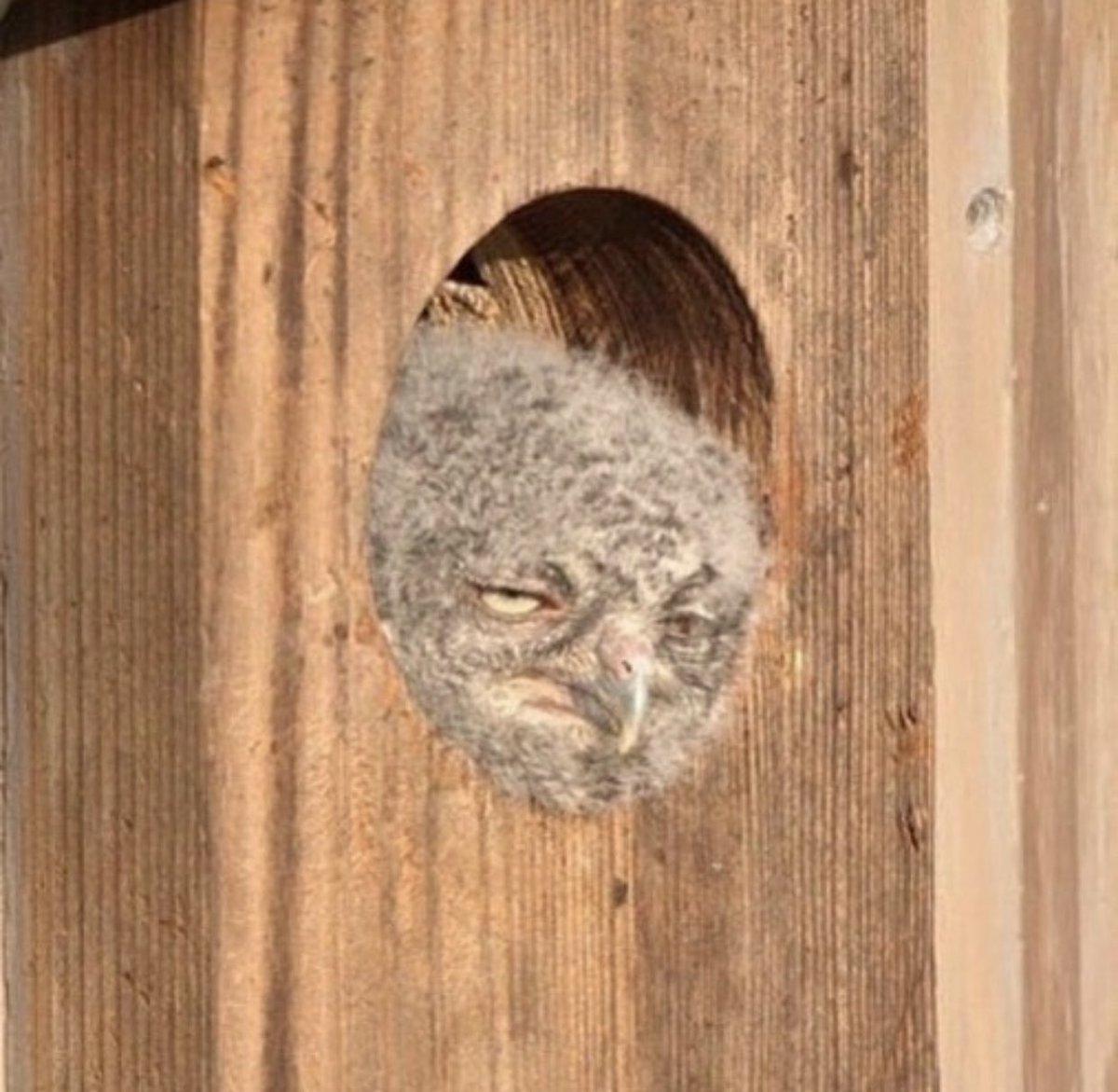 When it clocks to you that he’s standing on business