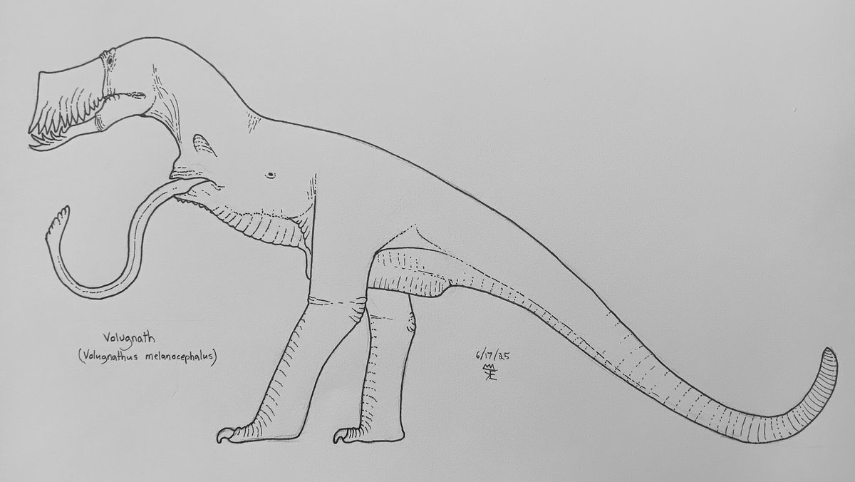 Some more #Snaiad Fan art: a sketch of the iconic Volugnath (Volugnathus melanocephalus), a large ambush predator from the isolated continent of Thalassia. I might color it, but I wanted the little details to show through.