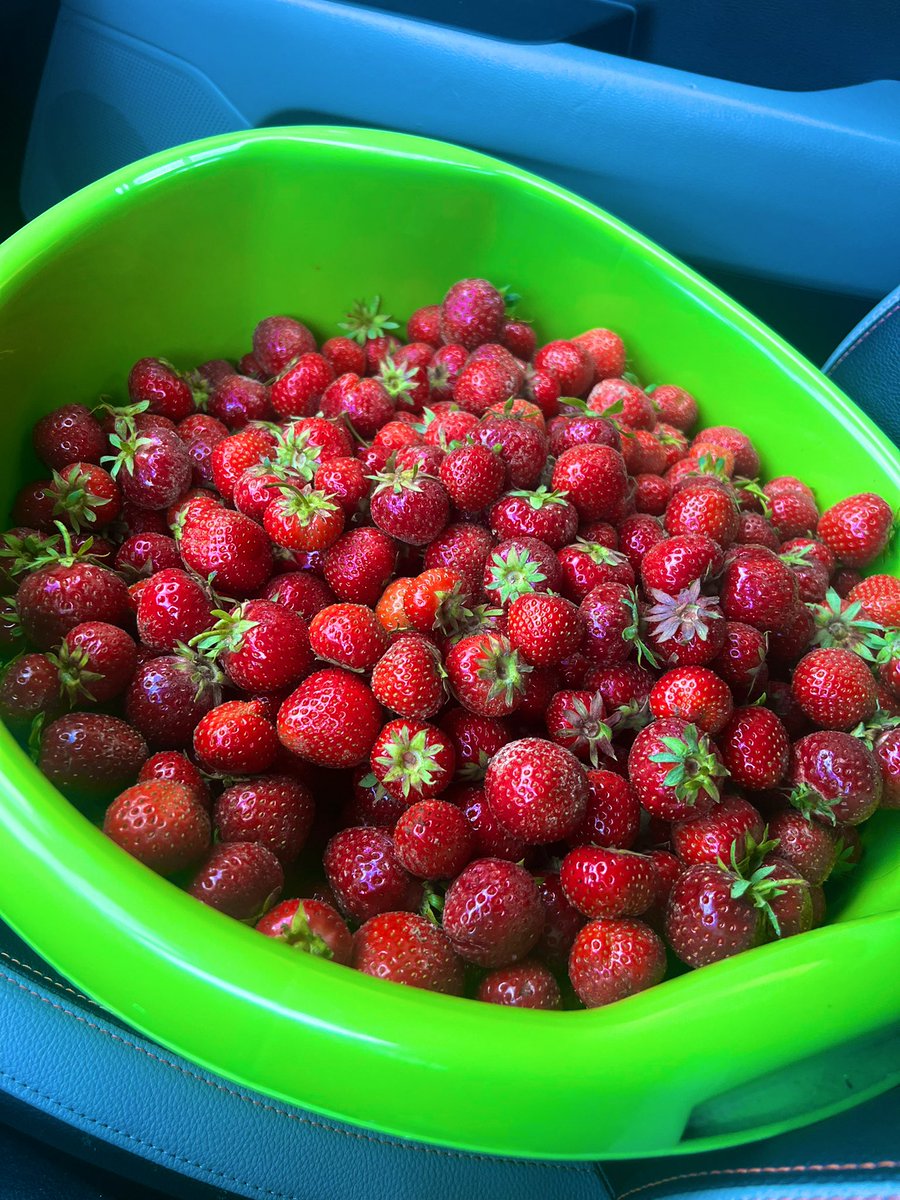 Wracam sobie z truskawkami od tego <a href="/MarcinTyc/">Marcin Tyc</a> - polecam.