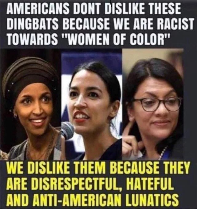 In addition, they have no allegiance to the U.S. Constitution.