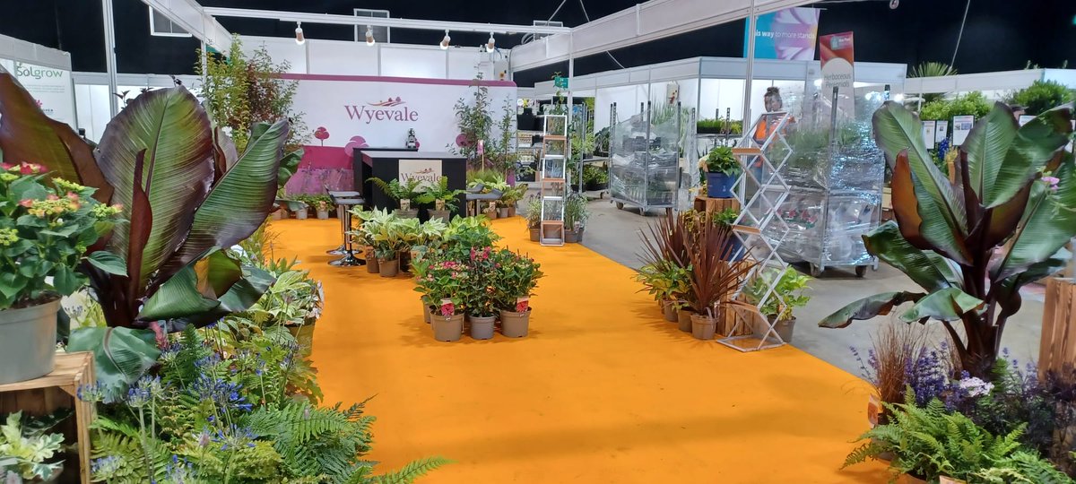 We’re at our stand again today at the <a href="/HTAnews/">HTA News</a>  #nationalplantshow – pop and see our brilliant team if you’re there! Hall 1 – Stand 49/50/41/42 <a href="/NAECStoneleigh/">NAECStoneleigh</a> Park.
