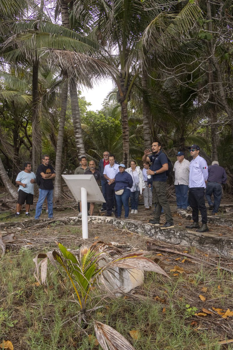 PMA Veracruz tweet media