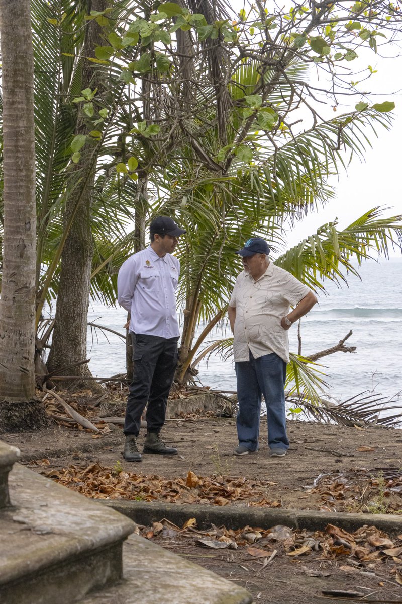 PMA Veracruz tweet media