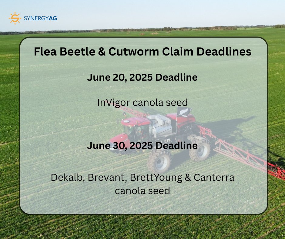 Deadline Reminder!! 📢
Reminder to call in your flea beetle &amp; cutworm claims before their deadlines!
If you are unsure how to put in a claim, reach out to your #SynergyAg rep and they can help get you started.

#rootsyoucancounton #fleabeetles #canola #cutworms