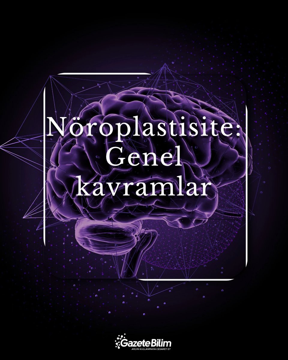 📍Nöroplastisite dosyamız yayında! 
Bu seride, beynin değişme ve uyum sağlama yetisini bilimsel veriler ışığında değerlendiriyoruz. Öğrenmeden iyileşmeye, alışkanlıklardan terapötik uygulamalara kadar pek çok konuyu ele alıyoruz!

📝Nöroplastisite dosyamız: