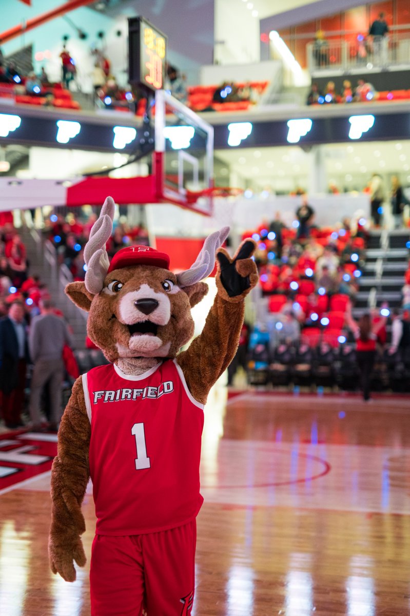 Fairfield University ๐ฆ (@fairfieldu) on Twitter photo Stag spotlight: itโs Lucasโs day to shine ๐ฆโจ 
#NationalMascotDay #FairfieldU Stag spotlight: itโs Lucasโs day to shine ๐ฆโจ 
#NationalMascotDay #FairfieldU