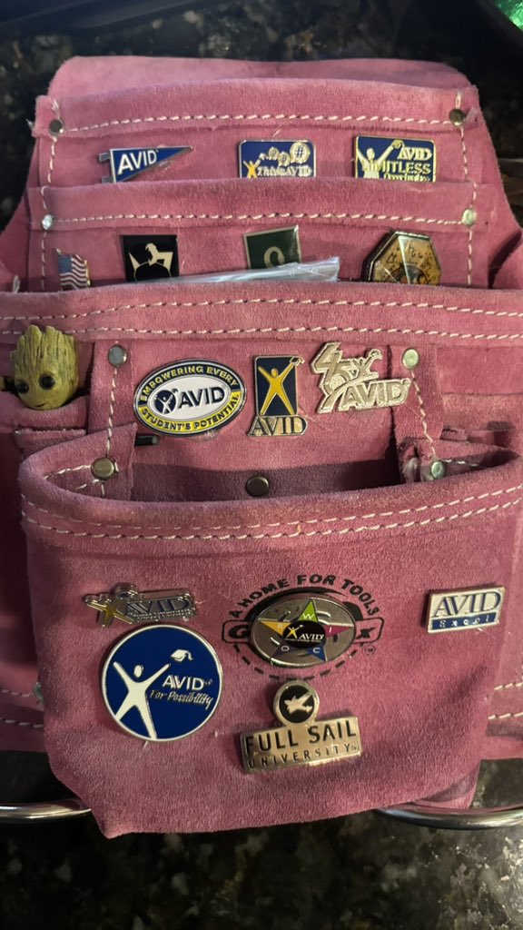 AVID_All_Star's tweet image. We’ve go the tools for #MLL success! #AVIDEmerge #AVIDExcel #AdvancingMLs #LanguageisPower @AVID4College @AVIDProflearn 💪🏼🤨 #AVIDSI2025 #Orlando