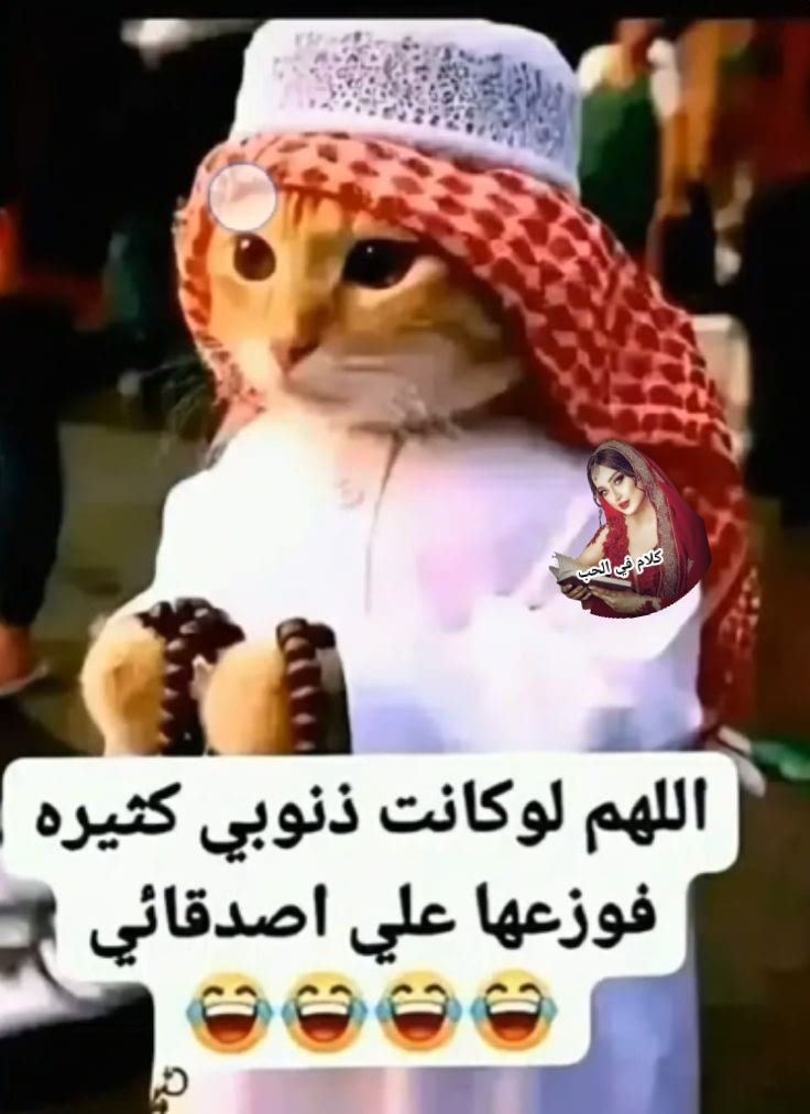 هههههه مش خساره فيكم 🤣🤣🤣