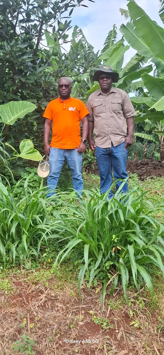 Shepard Ndlela tweet media