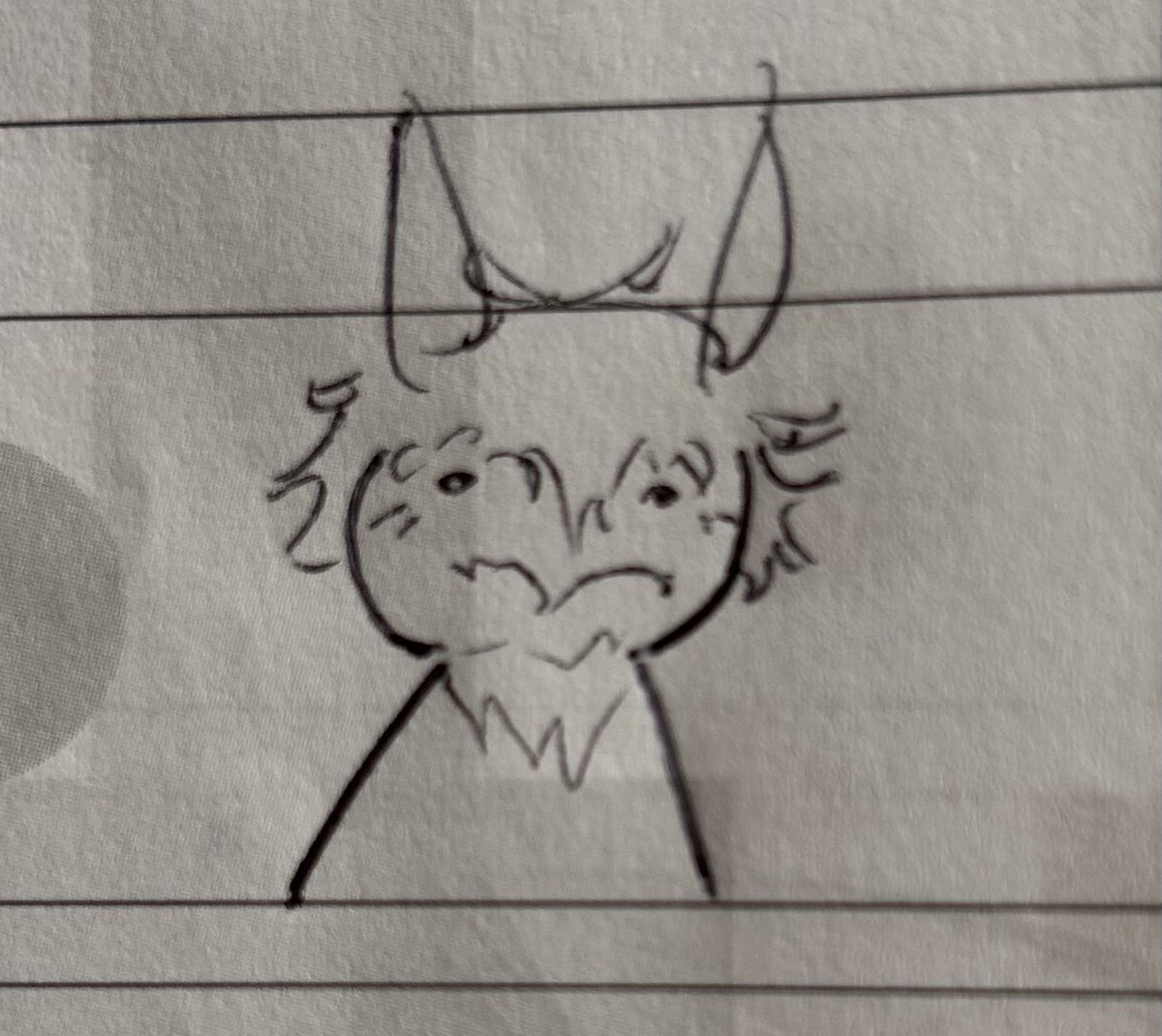 Toony ⭐️ tweet media