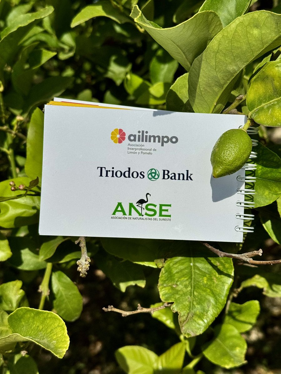 La agricultura siempre va de la mano del medio ambiente. Extraordinaria acción conjunta de <a href="/ailimpo/">AILIMPO</a> y <a href="/anse/">anse</a> para dar a conocer y proteger nuestro patrimonio ornitologico.  “GUÍA DE AVES PARA AGRICULTORES DE LIMÓN Y POMELO”