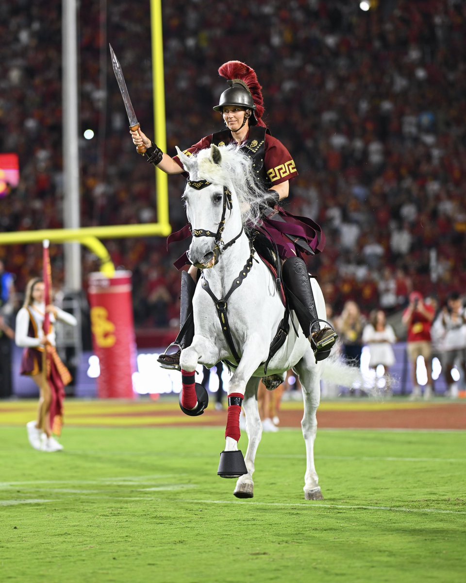 Celebrating Traveler on National Mascot Day! 🐴✌️