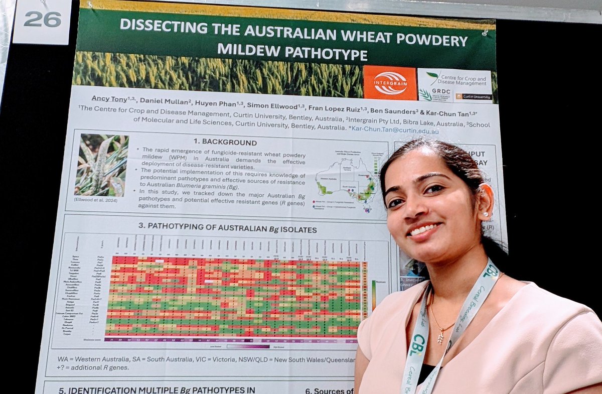 Our @theccdm <a href="/InterGrain1/">InterGrain</a> <a href="/tony_ancy/">Ancy Tony</a> poster on wheat powdery mildew pathotyping is up! Come and chat with us on Wednesday! 🙏😀 #ICRPMC2025 <a href="/17thICRPMC/">17th Intl Cereal Rusts & Powdery Mildew Conference</a>