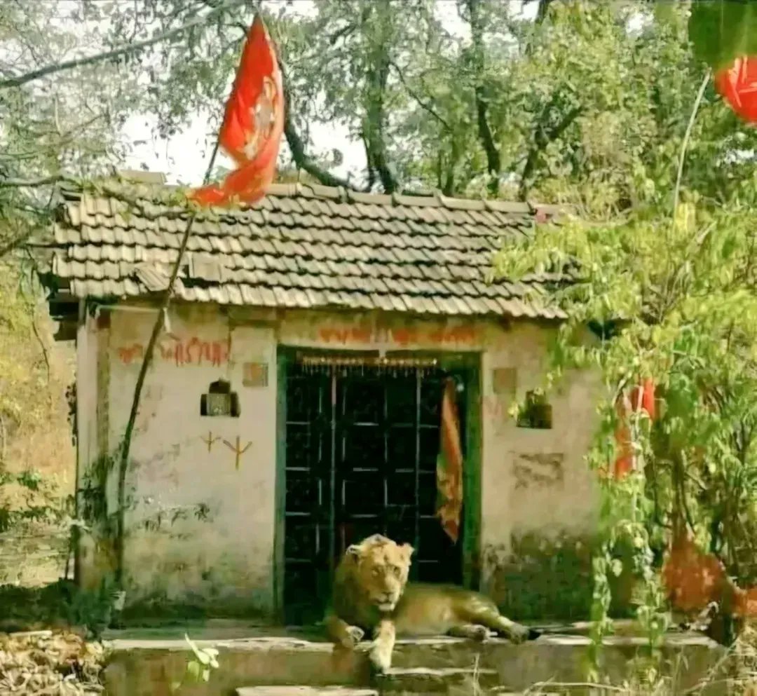 આ ધરા 'સંત' 'સુરા' નીપજાવતી, એવી મારી "સોરઠ" રતન ની ખાણ...

🐾🐾🐾#સોરઠ_ધરા🌱🌳🌿