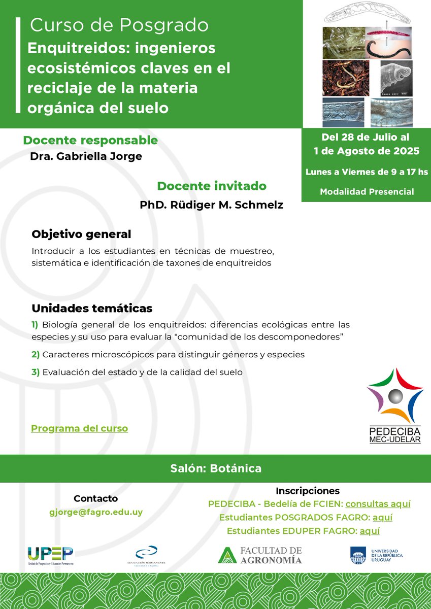 Estimados estudiantes, difundimos el curso PEDECIBA Biología "Enquitreidos: ingenieros ecosistémicos claves en el reciclaje de la materia orgánica del suelo"

FECHA: 28/07 al 01/08/2025