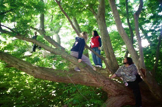 BillieEilishBR's tweet image. AVENTUREIRA! Billie Eilish via thesuavesolo.