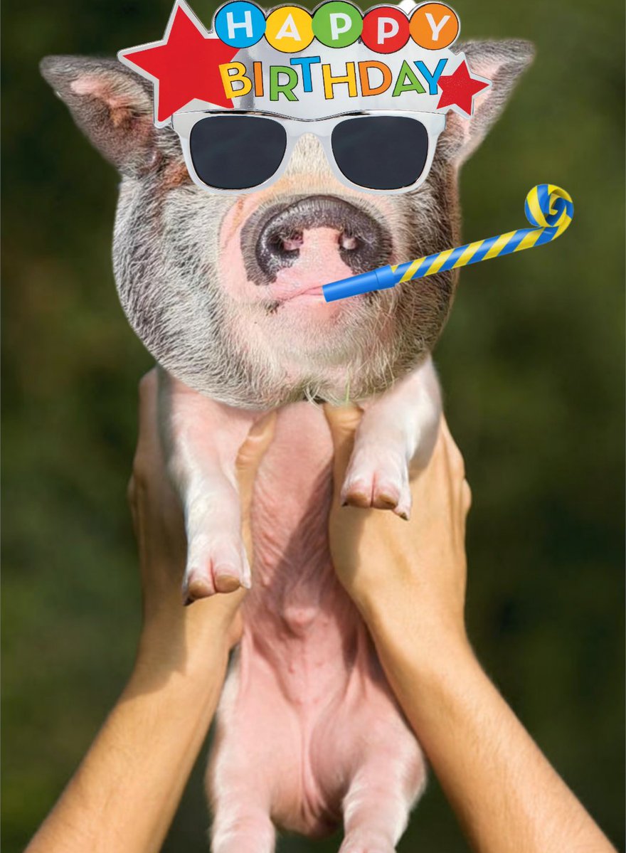 🎉Coinkgrats to 5 lucky piggies:

<a href="/ROBINHOOD032786/">Robinhood 🐍⛏️</a> 
<a href="/cal_8888/">C₳L</a>
<a href="/ramiromusso/">R₳miro🐽🐷🐍🇦🇷</a>
<a href="/Schwifty19ADA/">Schwifty 🙃</a>
<a href="/DamonOehlman/">Damon Oehlman</a>

...for winning the 1st Oinkiversary Giveaway!!

Prizes will be landing in your wallets within 24 hours!🐷

Massive thank you to everyone who participated, posted, and shared