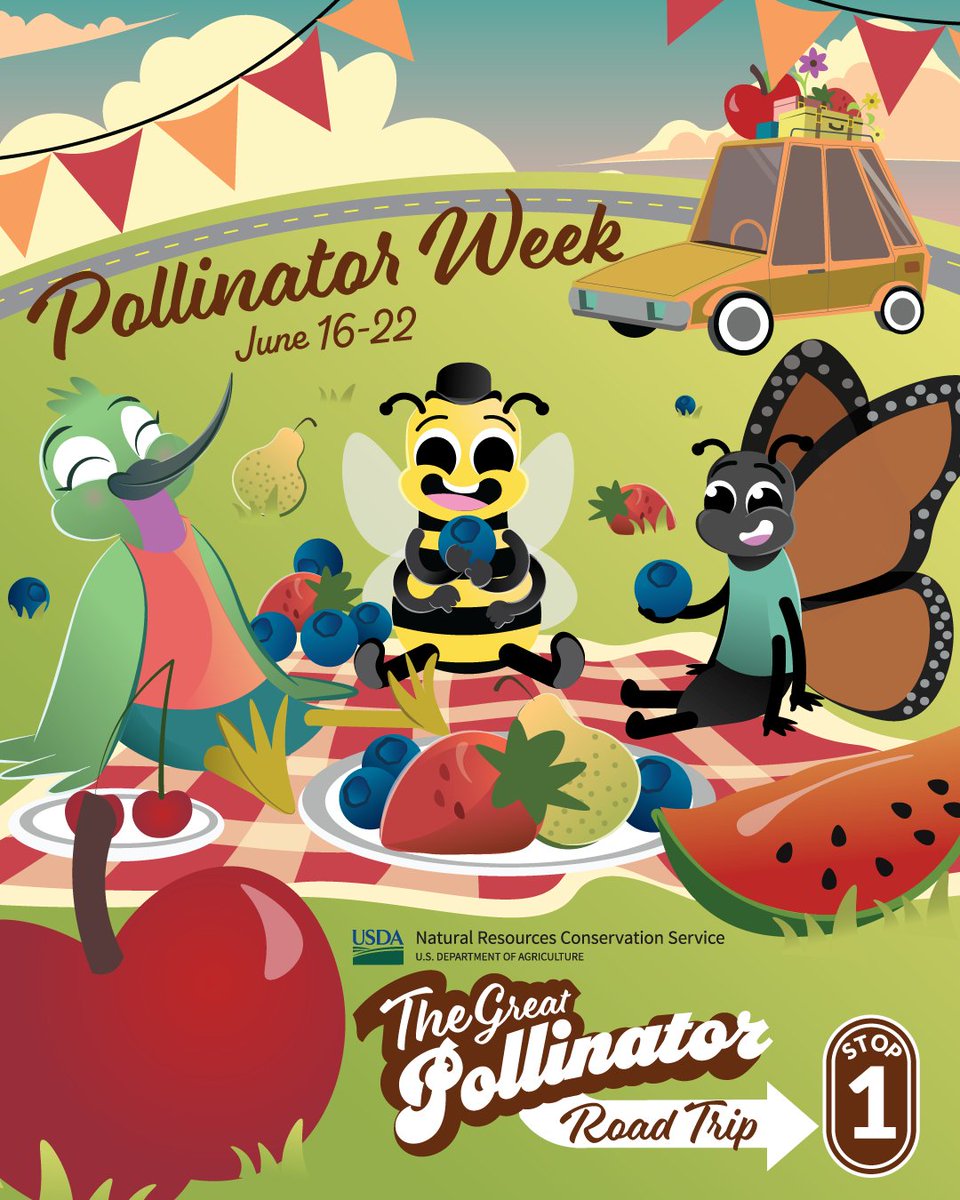 Pulling over for a picnic! Did you know that one-third of the food we eat depends on pollinators like bees, butterflies, and beetles? Let’s raise a juice box for our farm-field heroes! #PollinatorWeek