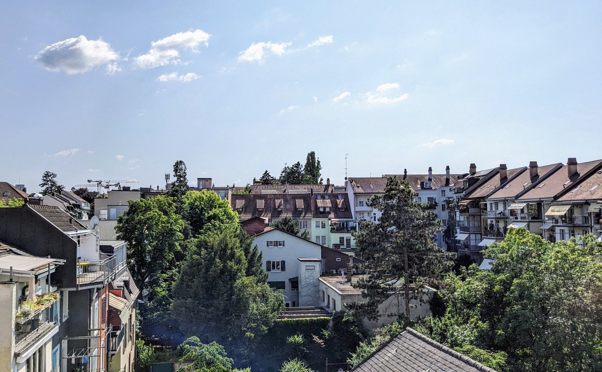 Summer break at home between two science travels 🌤️🍹🧳
